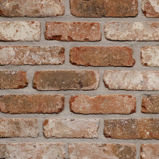 Terca Belle Epoque de Liege (215 x 65 x 23 mm)