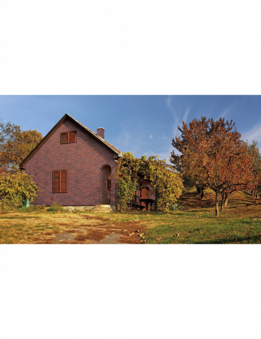 Caramida Aparenta King Klinker Aria Rustica HF21, 240x71x10mm model casa