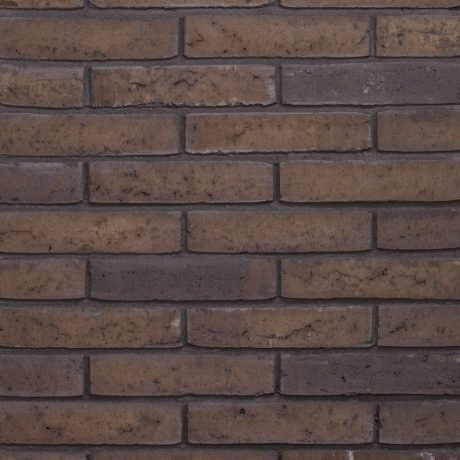 Terca Milosa Cosmos Exclusief (210 x 50 x 23 mm)