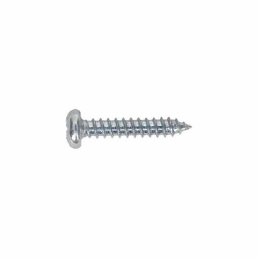 S+P 7981 - surub autofiletant cu cap bombat