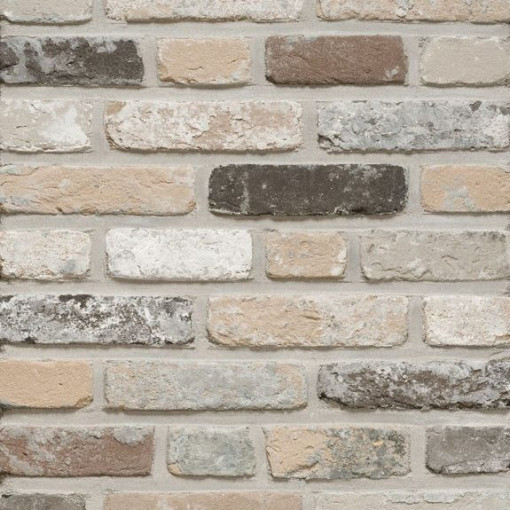 Terca Rustica Oud Leerne (215 x 65 x 23 mm)