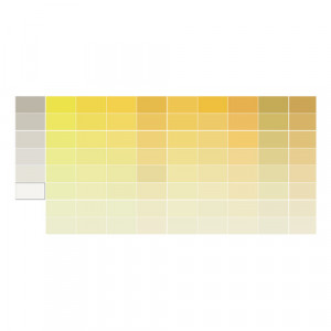Baumit SilikatColor - Vopsea silicatica pentru exterior culori