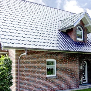 Caramida Aparenta Formback, rosu brun multicolor, NF (240x71x14 mm) exterior