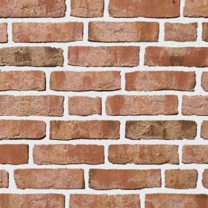 Caramida Klinker Moorbrand, argila multicolor, NF (240x115x71 mm) rost alb