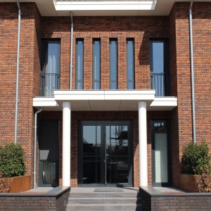 Caramida plina DF Koper Roodbont 215x100x65 mm cladire