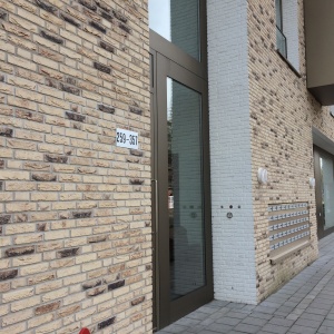Caramida plina DF Ladoga 215x100x65 mm