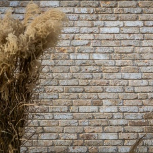 Caramida plina Toscane Antiek DF 215x100x65 mm