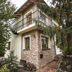 Coltar caramida aparenta Hermitage Antiek WDF 210x100x65 mm casa