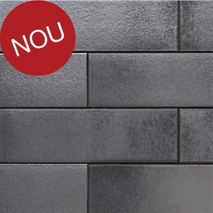 Coltar klinker subtire Terca Armis Smoky Grey 215x65x9 mm