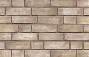 caramida aparenta bej cu accente albe format NF exterior premium