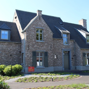 Caramida plina Hermitage Antiek DF 215x100x65 casa