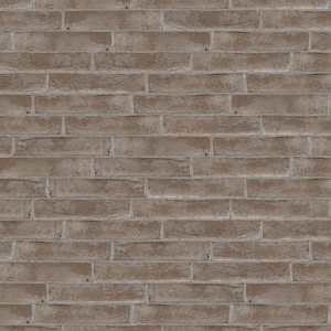 Terca Pagus Grijs (215 x 65 x 23 mm) rost gri