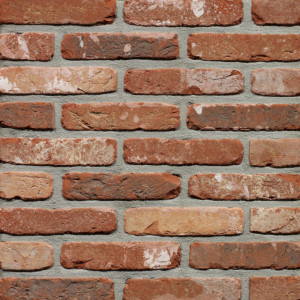 Terca Rustica Oud Kempisch (215 x 65 x 23 mm) rost gri
