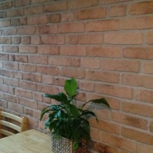 placi decorative natural deschis stil caramida veche