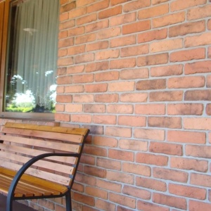 caramida aparenta natural pentru fatada casa