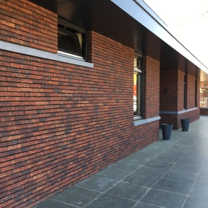 Caramida plina DF Blauw Paars Antiek 215x100x65 mm casa