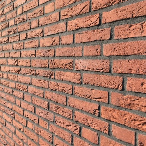 Caramida plina DF Rood Boszand 215x100x65 mm