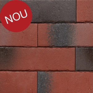 Coltar klinker subtire Terca Pelaris Vivid Red 215x65x14 mm