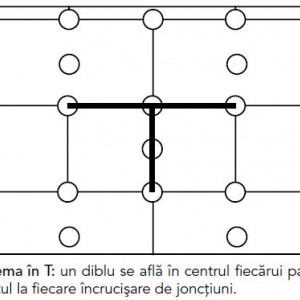 Schema montaj diblu in T