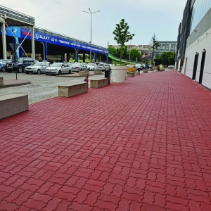 Pavaj Uni Rosu 24,3x10,6x6 cm