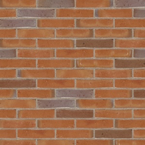 Terca Milosa Goudsbloem (210 x 50 x 23 mm) rost bej