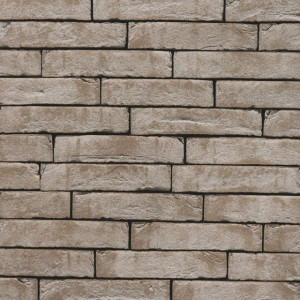 Terca Pagus Grijs (215 x 65 x 23 mm) rost negru