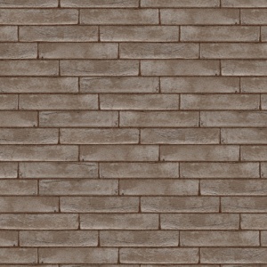 Terca Pagus Grijs (215 x 65 x 23 mm) rost maro