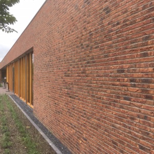 Caramida plina DF Koper Roodbont 215x100x65 mm culoare