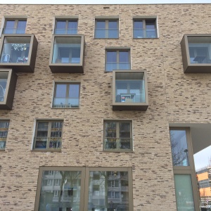 Caramida plina DF Ladoga 215x100x65 mm cladire