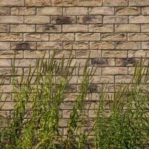 Caramida plina DF Onega 215x100x65 mm