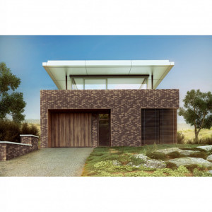 Caramida Aparenta King Klinker Golden Autumn 13, 250x65x10mm model casa
