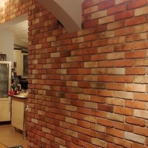perete interior cu caramida manor