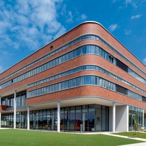 caramida aparenta Westerwald rosu maro multicolor neted pentru exterior