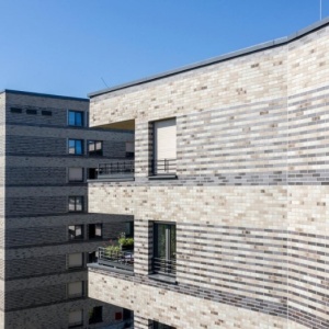 Caramida Klinker Aarhus, alb-gri (240x115x71 mm) fatada bloc