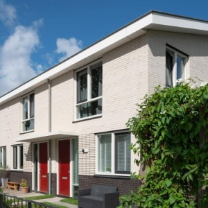Caramida Klinker Oslo neteda (240x115x71 mm) case