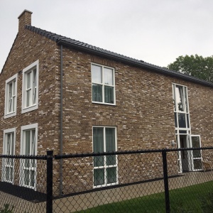Caramida plina DF Barnsteen 215x100x65 mm casa