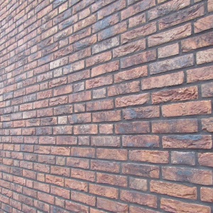 Caramida plina DF Koper Roodbont 215x100x65 mm