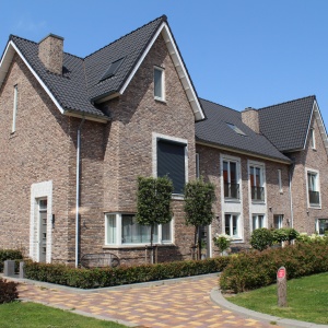Caramida plina DF Ohrid 215x100x65 mm casa