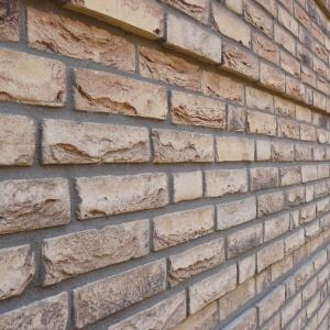 Caramida plina DF Onega 215x100x65 mm