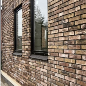 Caramida plina DF Taiga 215x100x65 mm