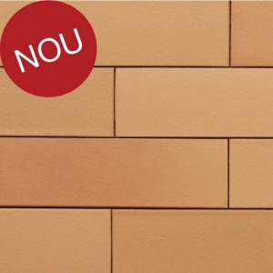 Coltar klinker subtire Terca Armis Sunset Red 215x65x9 mm