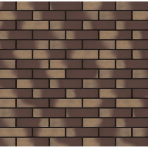 Caramida Aparenta King Klinker Golden Autumn 13, 250x65x10mm model perete
