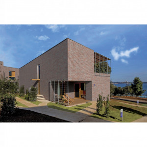Caramida Aparenta King Klinker Wall Street HF37, 240x71x10mm