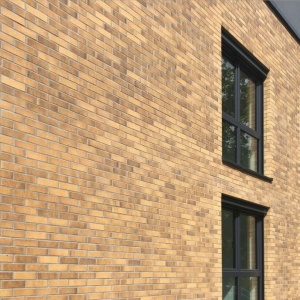 Caramida Aparenta Marseille, galben multicolor carbon, NF (240x71x14 mm) fatada