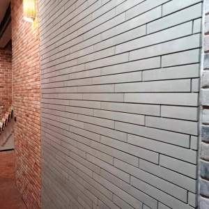 Caramida decorativa fatada moderna Long Smooth Gray S03 interior