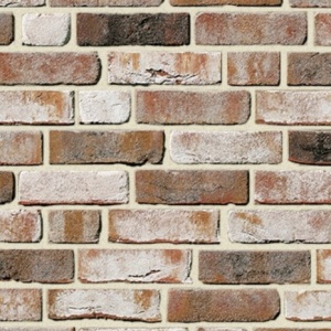 Caramida Klinker Geestbrand, gri mineral, NF rost bej