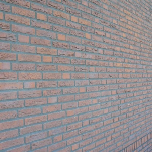 Caramida plina DF La Meuse 215x100x65 mm perete