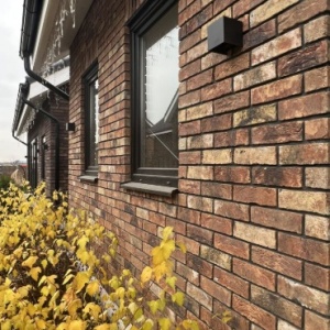 Caramida plina DF Tiffany 215x100x65 mm
