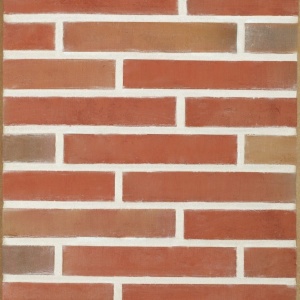 Coltar klinker standard Terca Linnaeus Robinia 288x48x23 mm