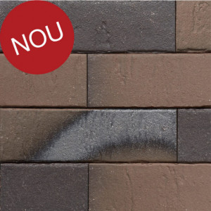 Terca Pelaris Maroon Brown (215 x 65 x 14 mm)